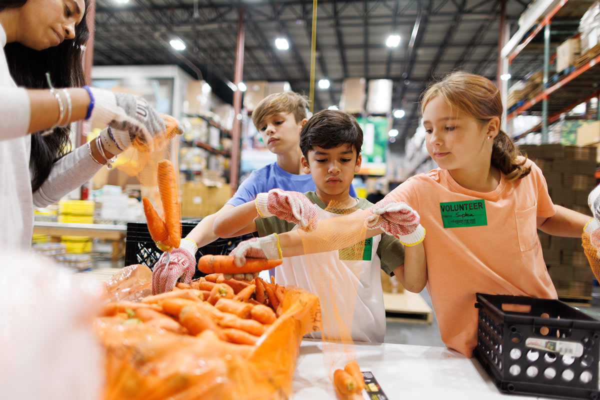 Volunteer kids sorting carrots